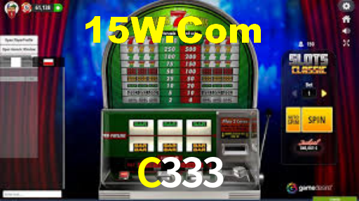 C333
