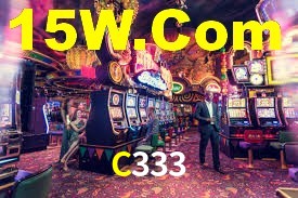 C333 App Interface